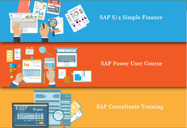 SAP FICO Training Course in Mayur Vihar, East Delhi, Free Online/Offline Tally Certification