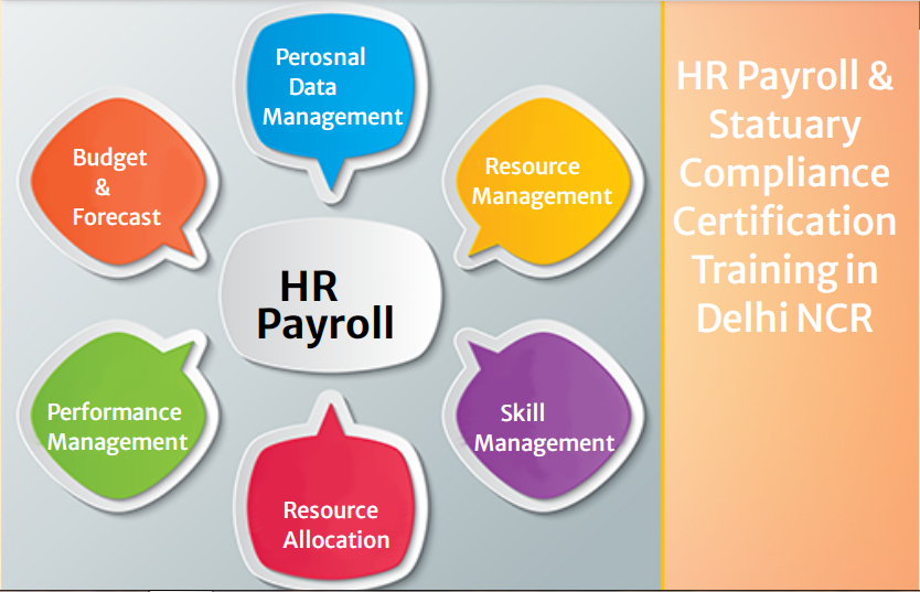 HR Payroll Training Course in Delhi, SLA SAP HCM Institute, BambooHR Payroll Software Certification