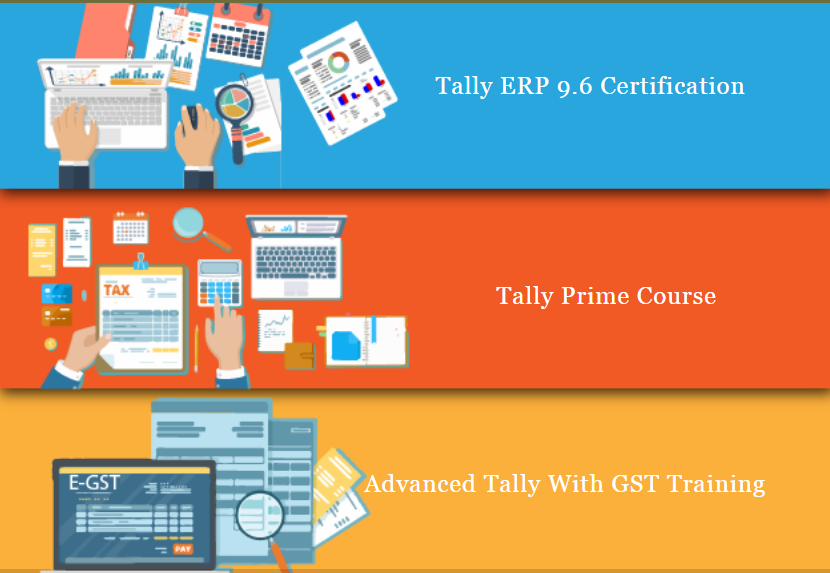 Tally Diploma, Preet Vihar, Mayur Vihar, Noida, Delhi SLA Accounting Classes, GST, SAP FICO Training Institute,