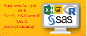 Business Analyst Certification, Business Intelligence with MS Power BI, Tableau & Netlink Analytics, Machine Learning Data Science with Python,