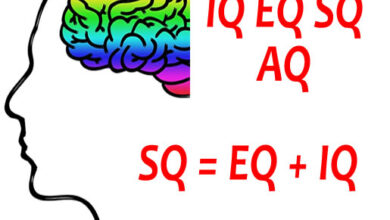 IQ EQ SQ and AQ what are they?